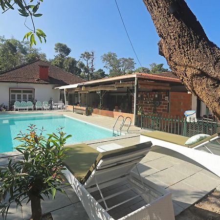 Devi Villa - Plantation Retreat And Forest Getaway Kutta Kültér fotó