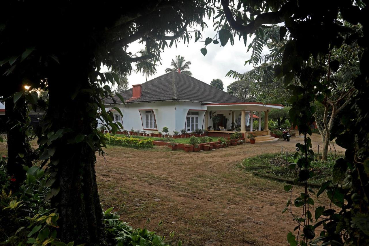 Devi Villa - Plantation Retreat And Forest Getaway Kutta Kültér fotó