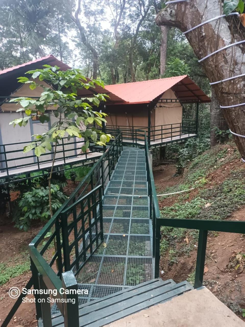 Devi Villa - Plantation Retreat And Forest Getaway Kutta Kültér fotó