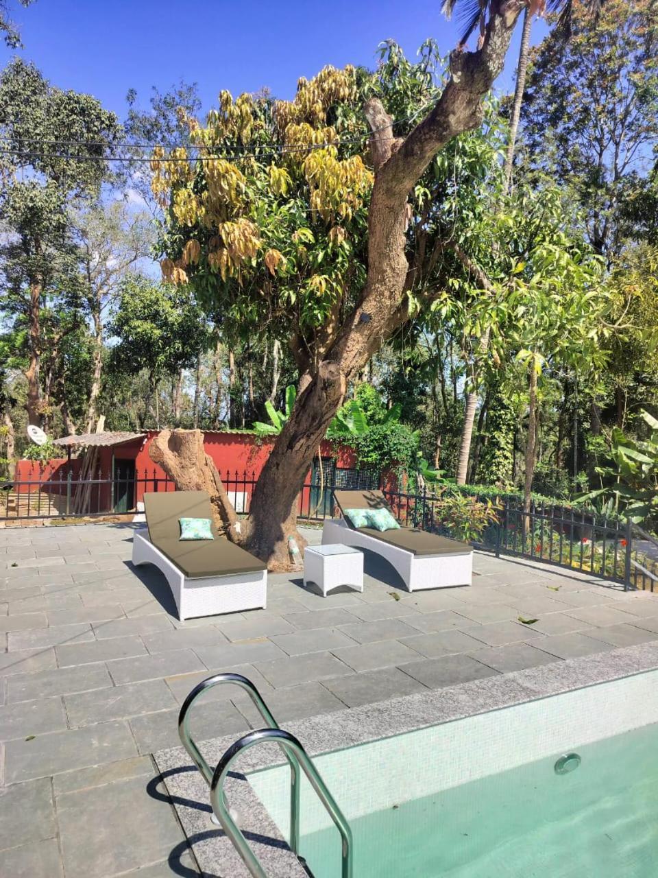Devi Villa - Plantation Retreat And Forest Getaway Kutta Kültér fotó